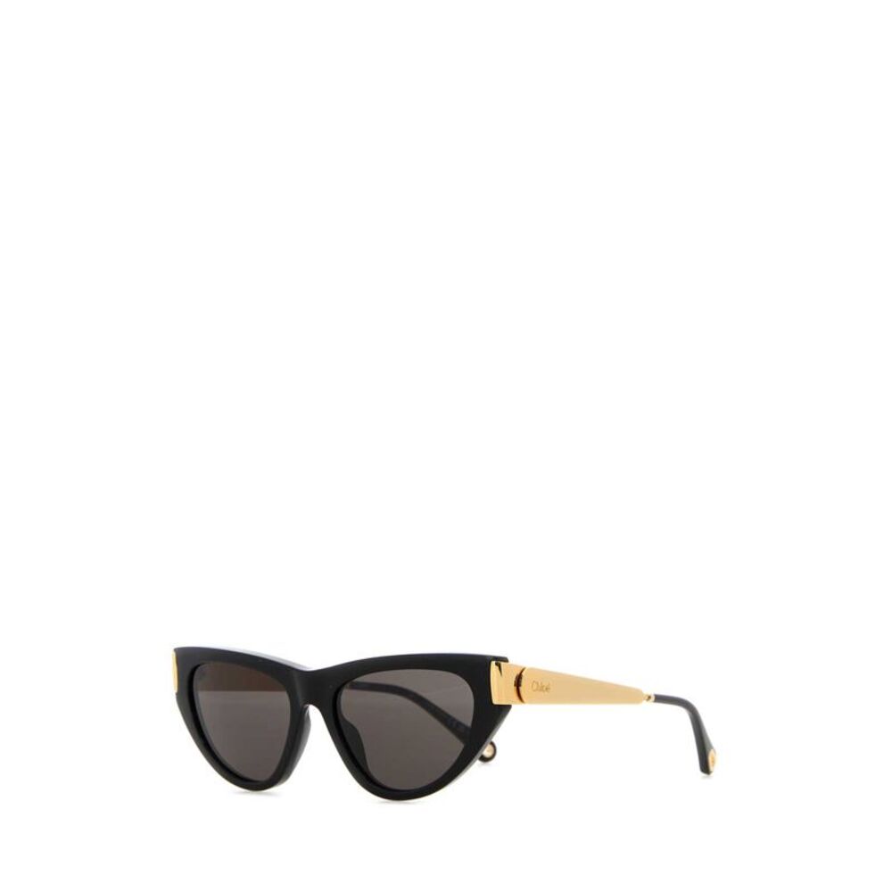 Chloe Women Black Acetate Holly Sunglasses